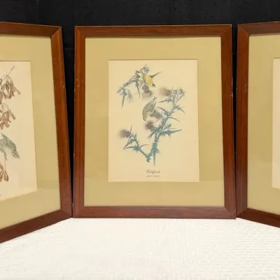 3 Vintage Framed Bird Prints
