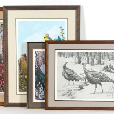 4 Framed Bird Prints