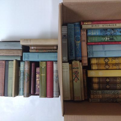 46 Vintage Books incl. The Bobbsey Twins in Washington