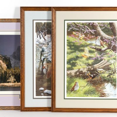 3 Signed Framed Nature Prints