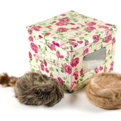 Ladies Fur Hat & Racoon Skin Cap