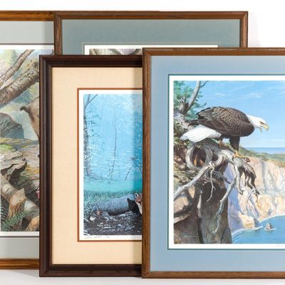 4 Framed Animal Prints