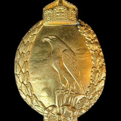 Sale Photo Thumbnail #87: WWI German Retired Naval Aviator's Badge,Juncker,