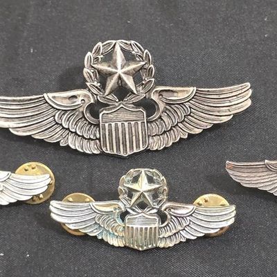 Sale Photo Thumbnail #4: USAF Command Pilot Wing Group: N.S. Meyer 3-Inch