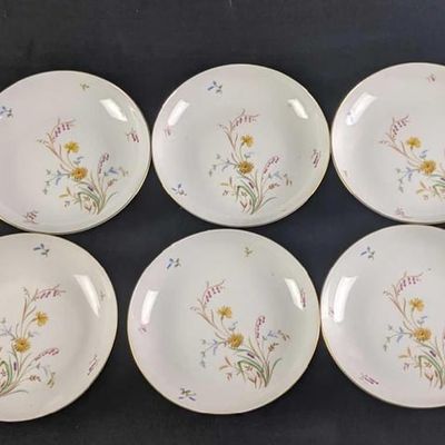 10 Eschenbach Germany Fine China Plates Coupe Soup Bowl