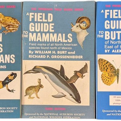 Field Guide To Reptiles Butterflies & Mammals Paperbacks