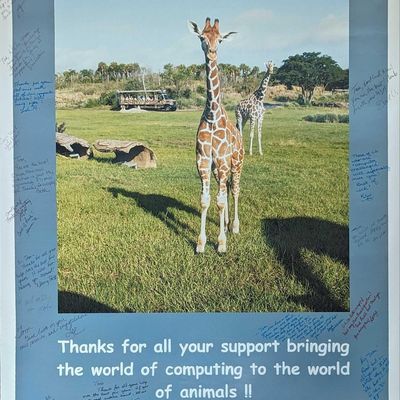 Disney Cast Member Signed Animal Kingdom Poster