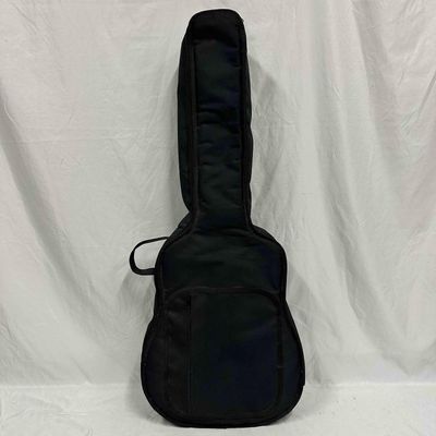 Takamine G230 Acoustic Guitar with Soft Case