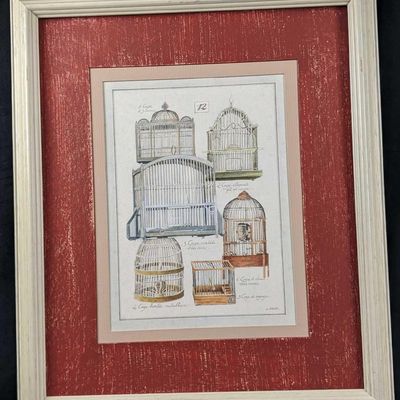 French Birdcage Framed Print By L David B