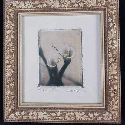 Amy Melious Framed Lily 2 Print Floral