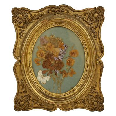 Victorian Framed Botanical Butterfly Display