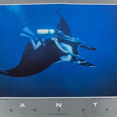 Howard Hall Offset Lithograph Manta Fantasy, Inscribed to Peter and Wendy