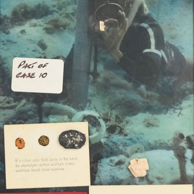 Mid-Century Print Underwater Archaeology Educational Display Panel