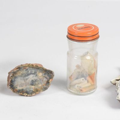 Assortment of Archaeological and Geological Specimens