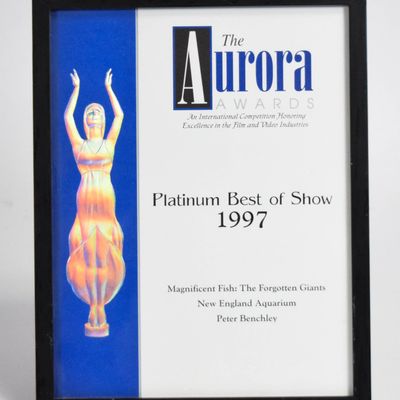 Aurora Awards Paper Certificate Magnificent Fish The Forgotten Giants