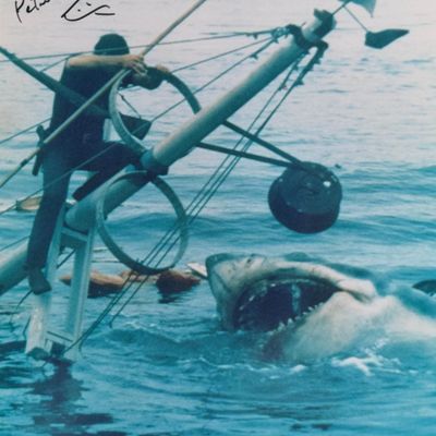 Peter Benchley Signed Jaws Film Still Print