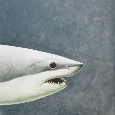 Richard Ellis Giclée on Canvas Great White Shark