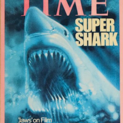 Roger Kastel Offset Lithograph Time Magazine Cover Jaws