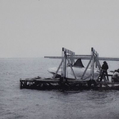 Black & White Jaws Production Still, Bruce and Crew