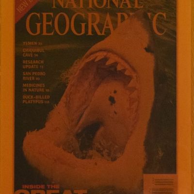 National Geographic Laminated Magazine Cover on Wood Plaque Great White Shark