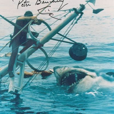 Peter Benchley Signed Jaws Film Still Print