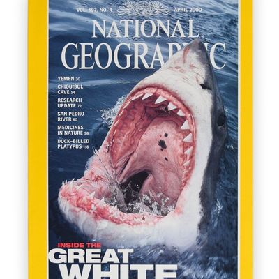 National Geographic Society Paper Magazine April 2000 Peter Benchley Association Copy