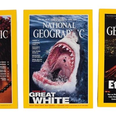 3 National Geographic Magazines From Peter Benchley's Personal Collection