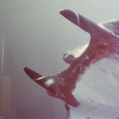 Peter Benchley Diving with Manta Ray, Chromogenic Print