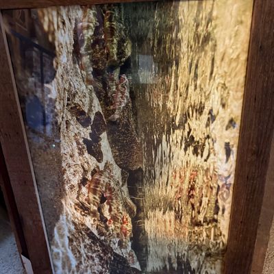 Sale Photo Thumbnail #172