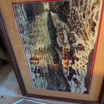 Sale Photo Thumbnail #170