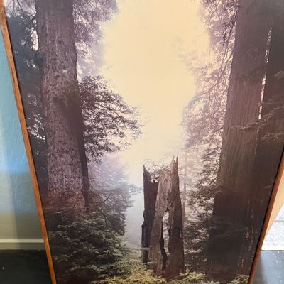 Sale Photo Thumbnail #137