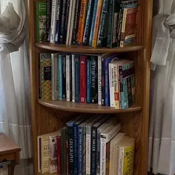 Wooden Corner Cabinet