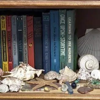 Vintage Books, Shells, Minerals, Rocks