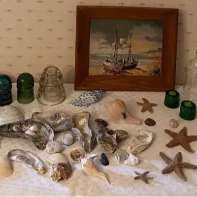 Lot Of Seashells, Glass, Insulators And Nautical Print 
