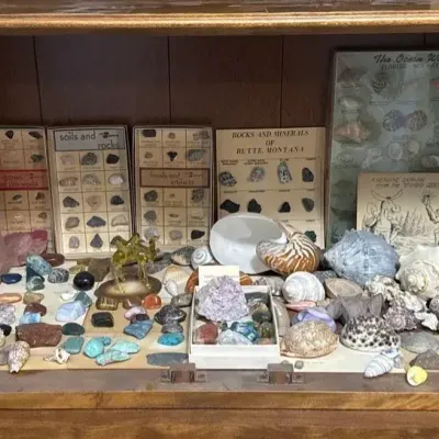 Large Lot Of Crystals, Shells, Minerals