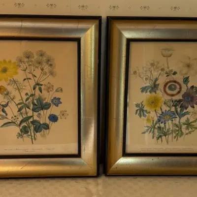 1846 Hand Colored Lithographs - First Edition 
