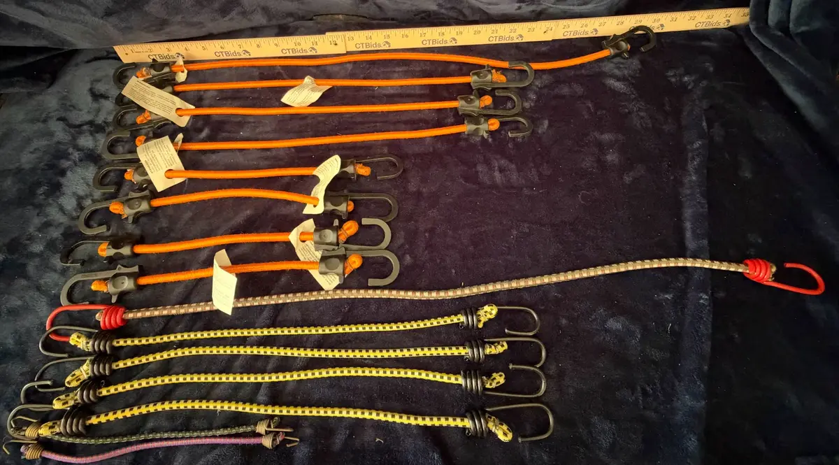 Assorted Bungee Cords