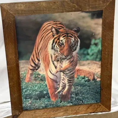Framed Wildlife Photo