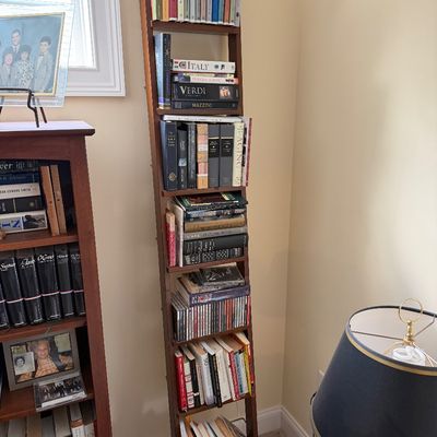 Contemporary wooden leaning ladder bookshelf filled with books and media, featuring a slim profile designed to rest against a wall.