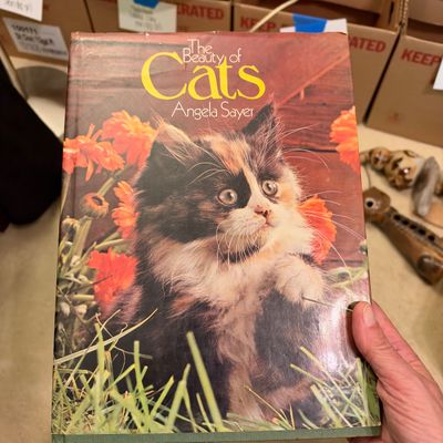Cat Themed Collectibles, Figurines, Books & More (B1-RG)