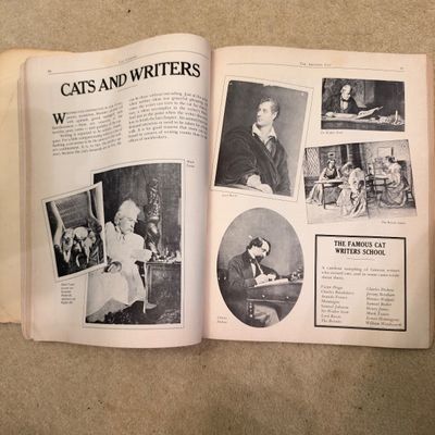 Cat Themed Collectibles, Figurines, Books & More (B1-RG)