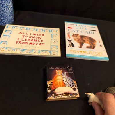 Cat Themed Collectibles, Figurines, Books & More (B1-RG)