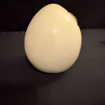 Signed Lion in Egg Figurine (B1-RG)