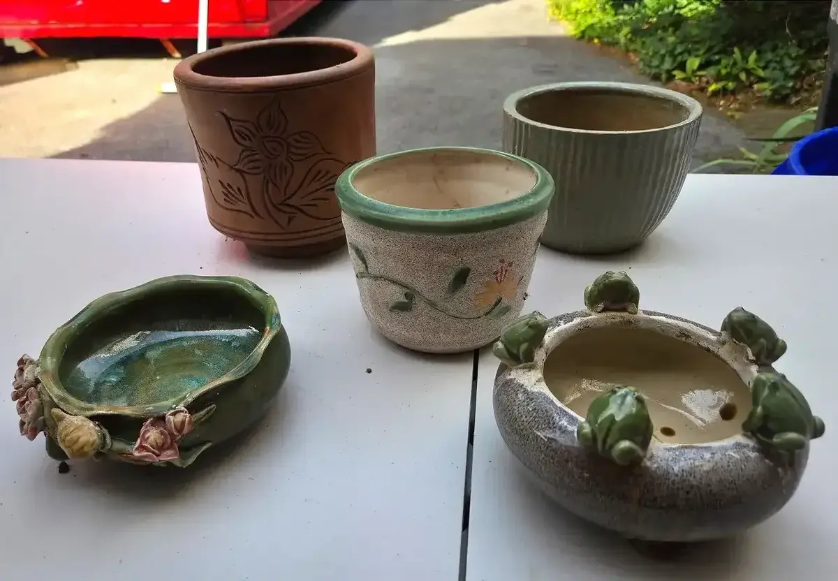 Botanical Planters 