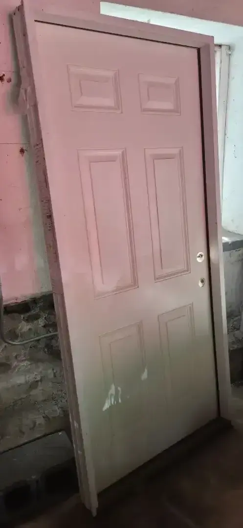 Prehung Door 