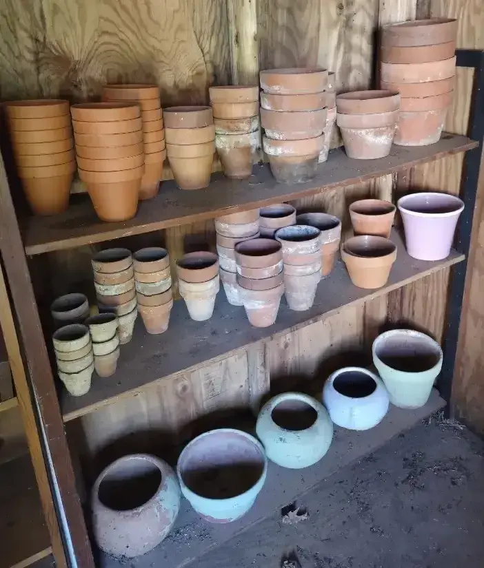 Terracotta Pots 