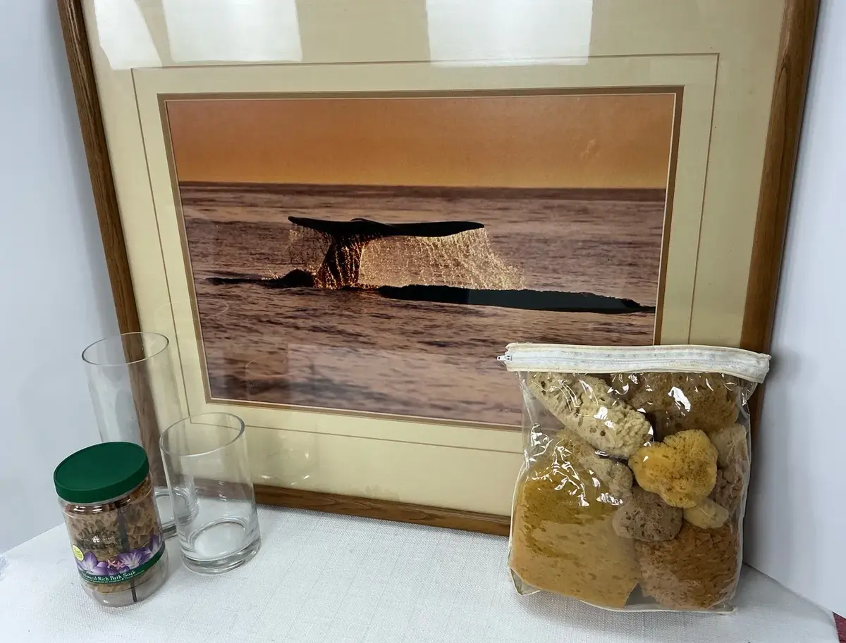 Whale Print and Sea Sponges