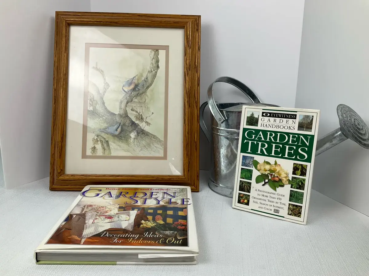 Framed Nuthatch Print & Garden Decor