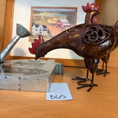 Sale Photo Thumbnail #124: Wattle broken on 1 chicken