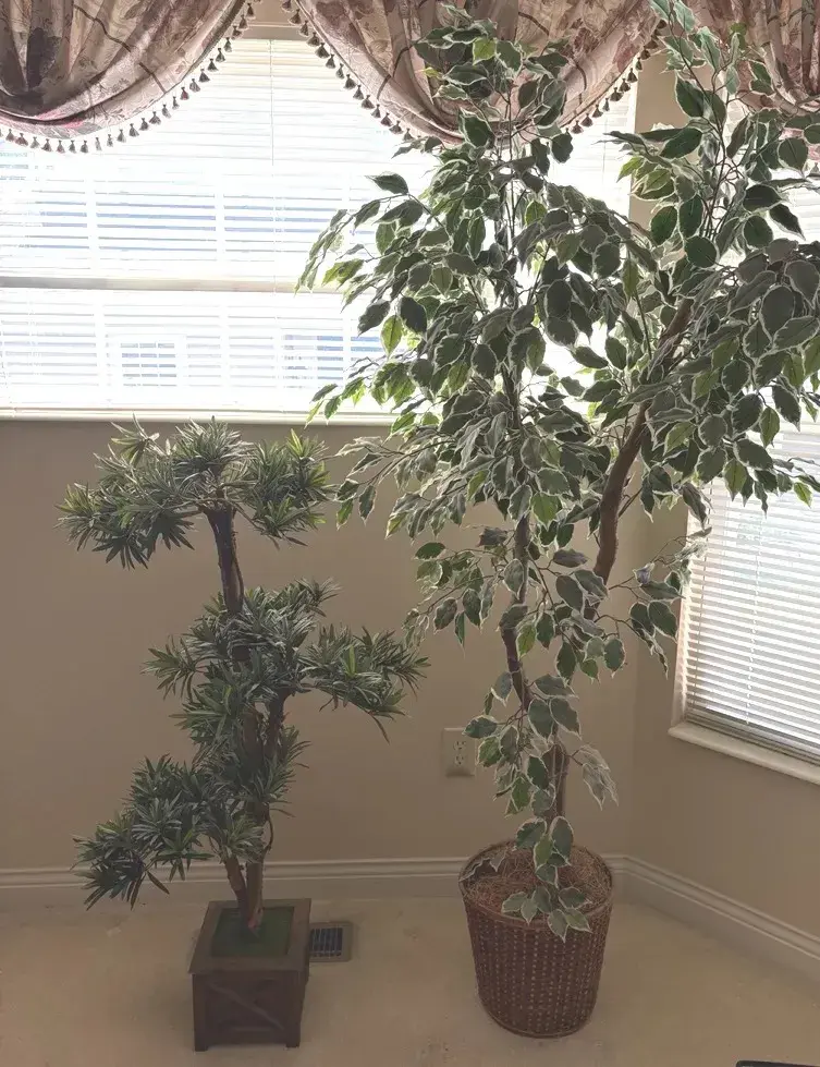 Artificial Ficus Tree And Bonsai Tree (2)